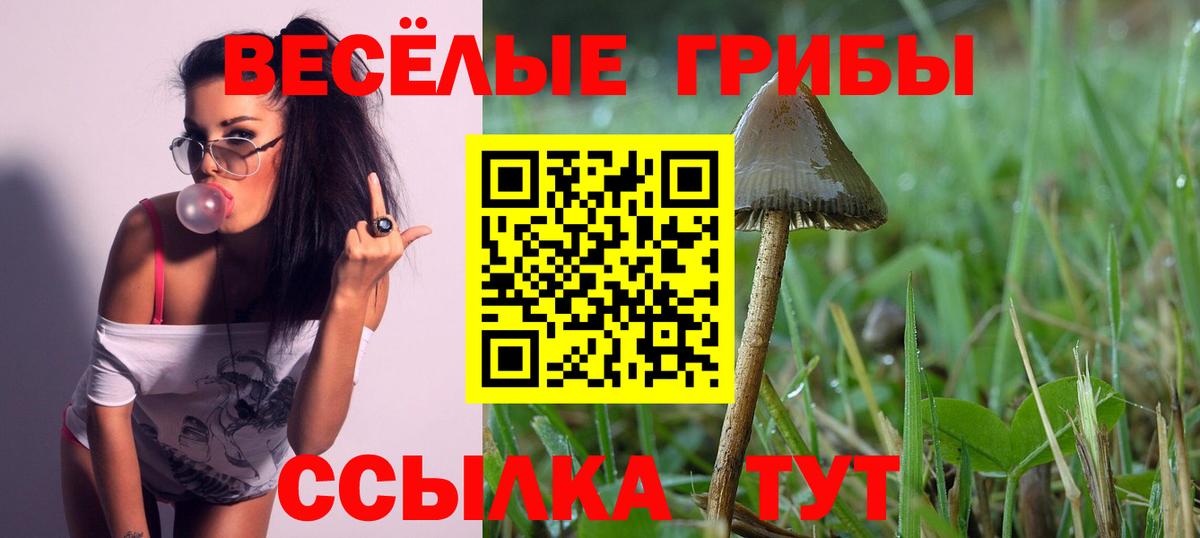 Галлюциногенные грибы мицелий  Псилоцибиновые грибы Magic Shrooms  Вход с VPN  что такое   Вичуга 