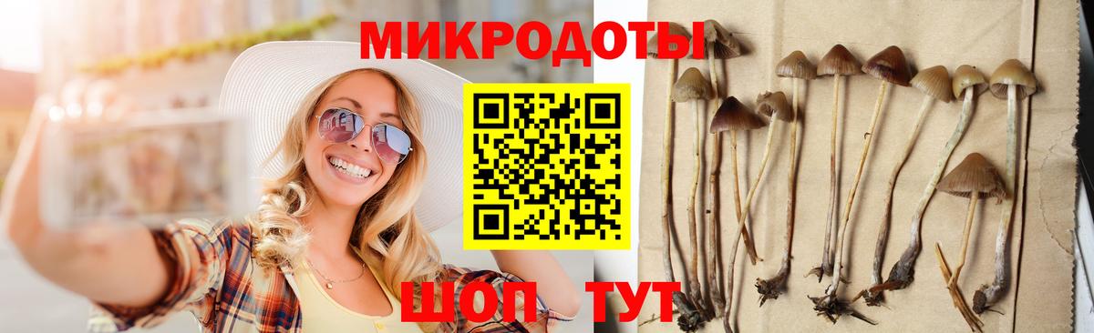 Галлюциногенные грибы GOLDEN TEACHER Вичуга